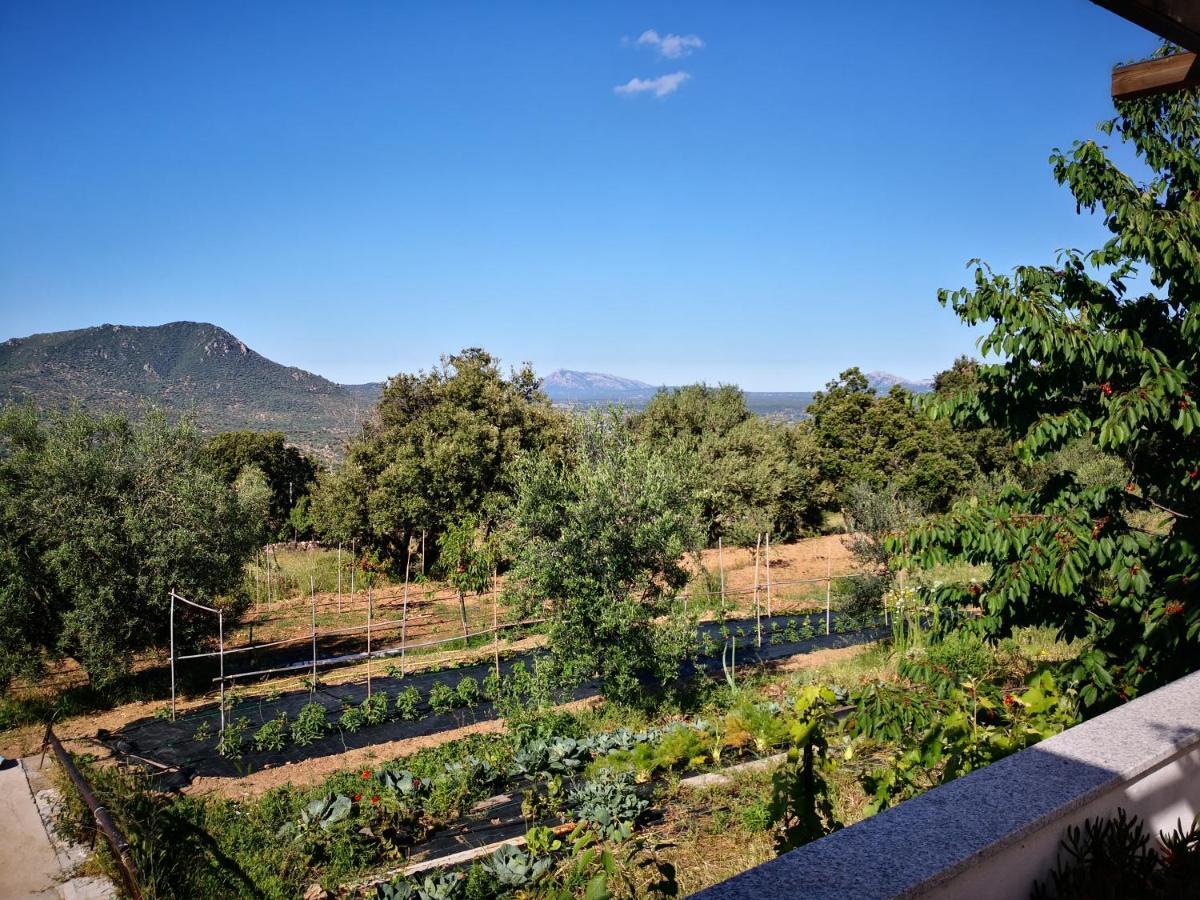 Villa Sa Pruna Oliena Exterior foto